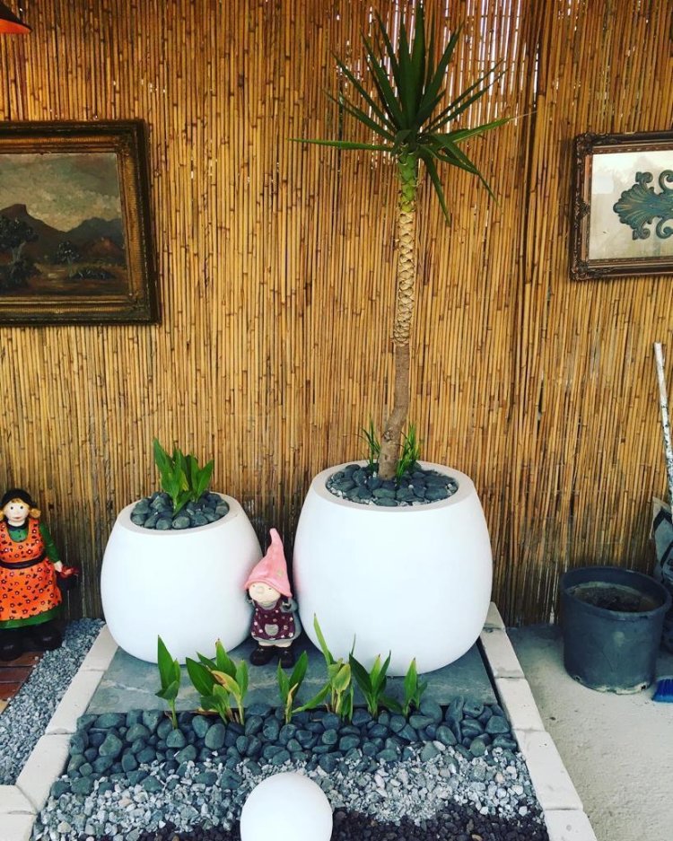 mini domates saksı