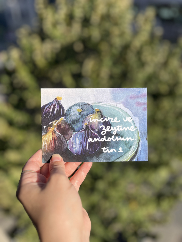 vettinivezzeytun-kartpostal