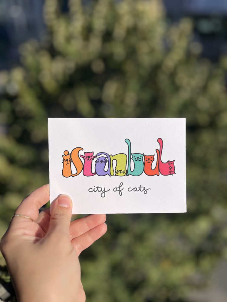 kedilerin şehri-kartpostal