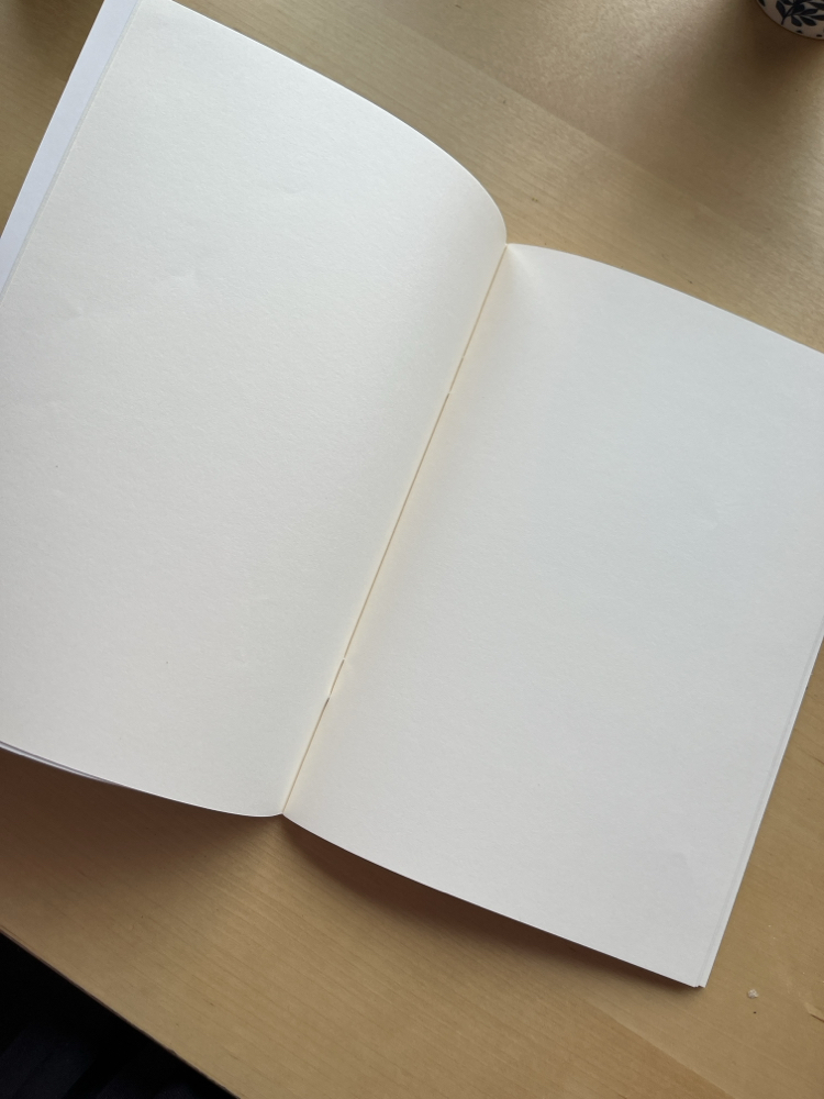 şah u geda - defter