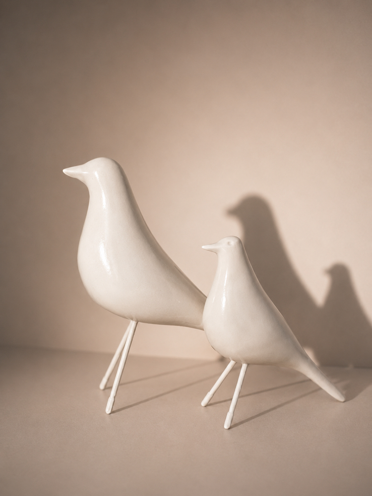Nord Birds