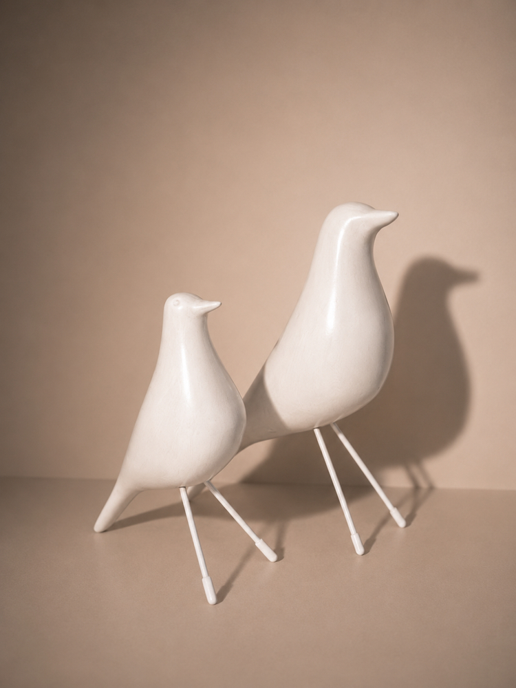 Nord Birds