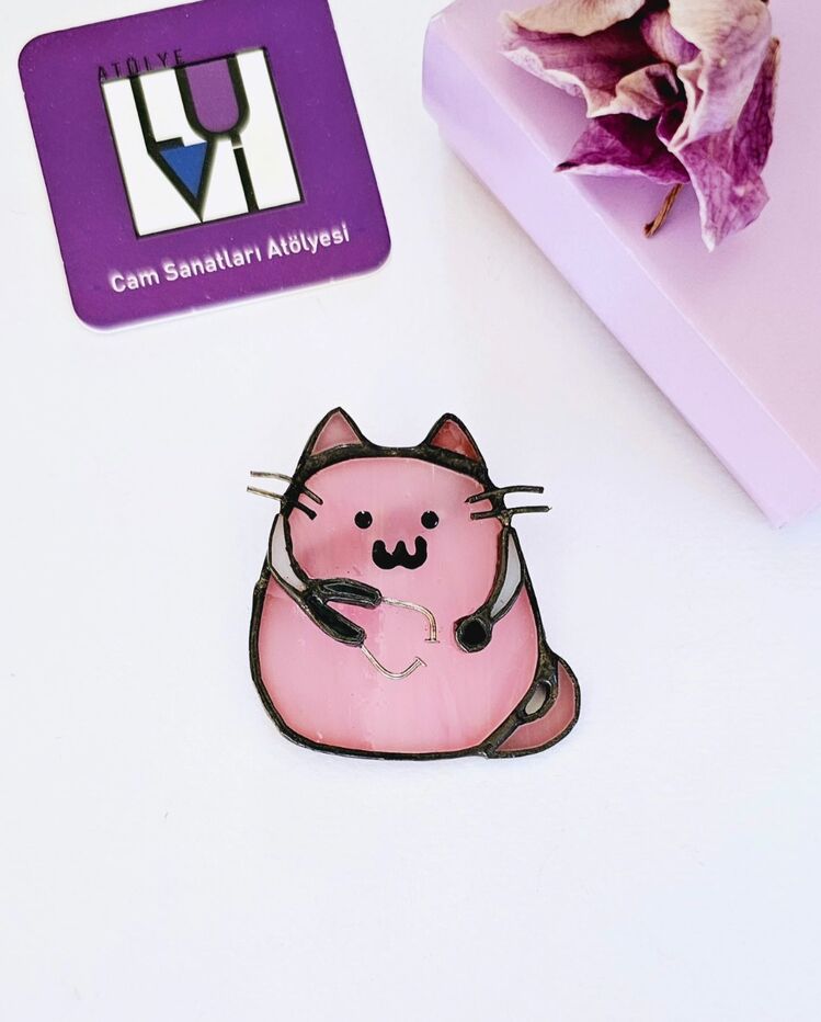 Pembe Doktor Kedi Broş