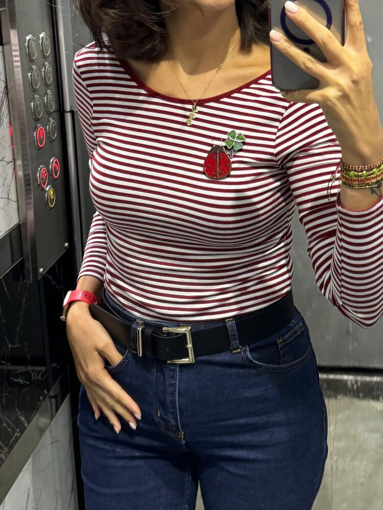 Uğur Böceği Broş