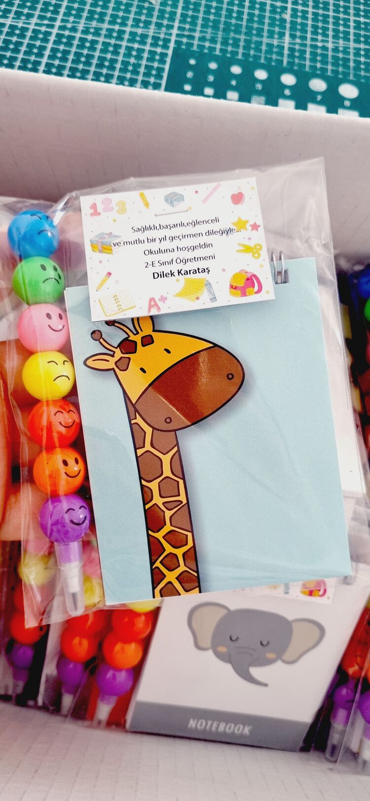 Defter Ve kalem Set