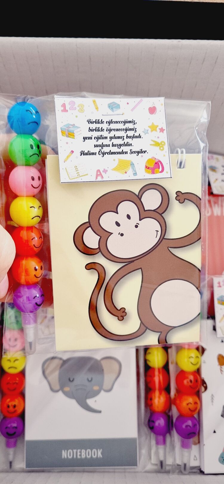 Defter Ve kalem Set