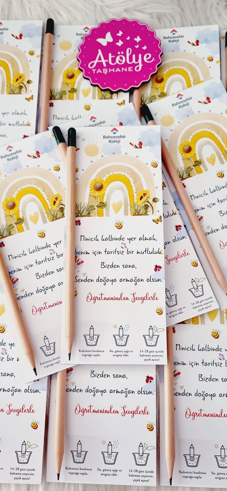 Okuluna Hoşgeldin Tohumlu Kalem