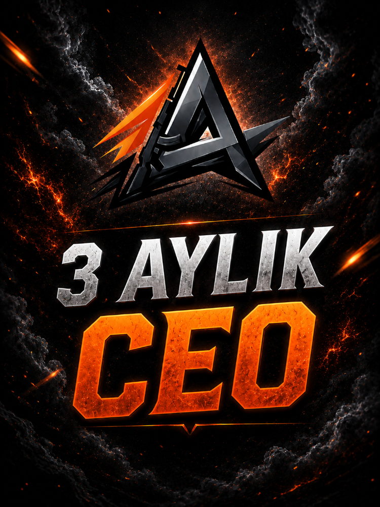 3 Aylık CEO