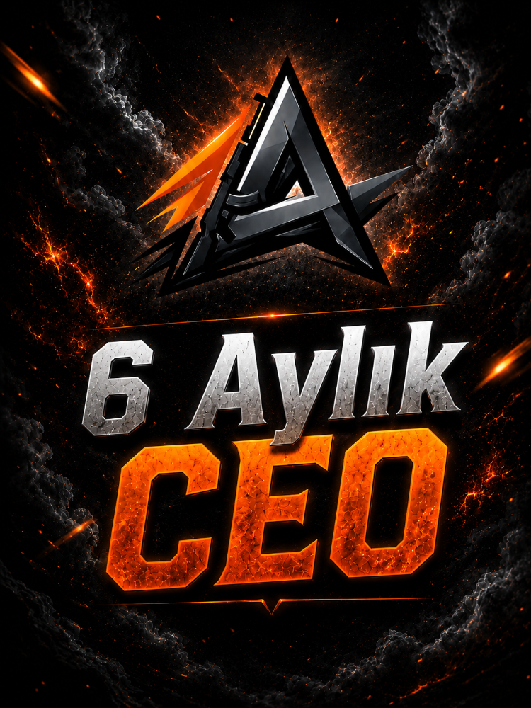 6 Aylık CEO