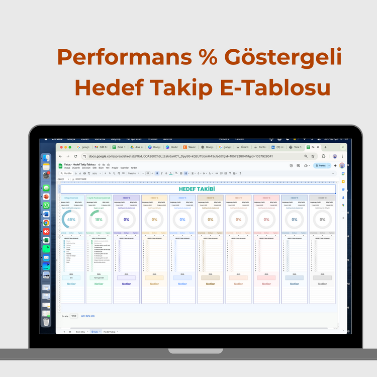 Performas Göstergeli Hedef E-Takip E-Tablosu, Yıllık Aylık Hedefler