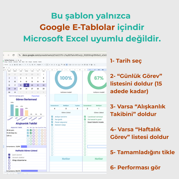 Performas Göstergeli Haftalık Planlayıcı, Günlük Program Planlayıcı