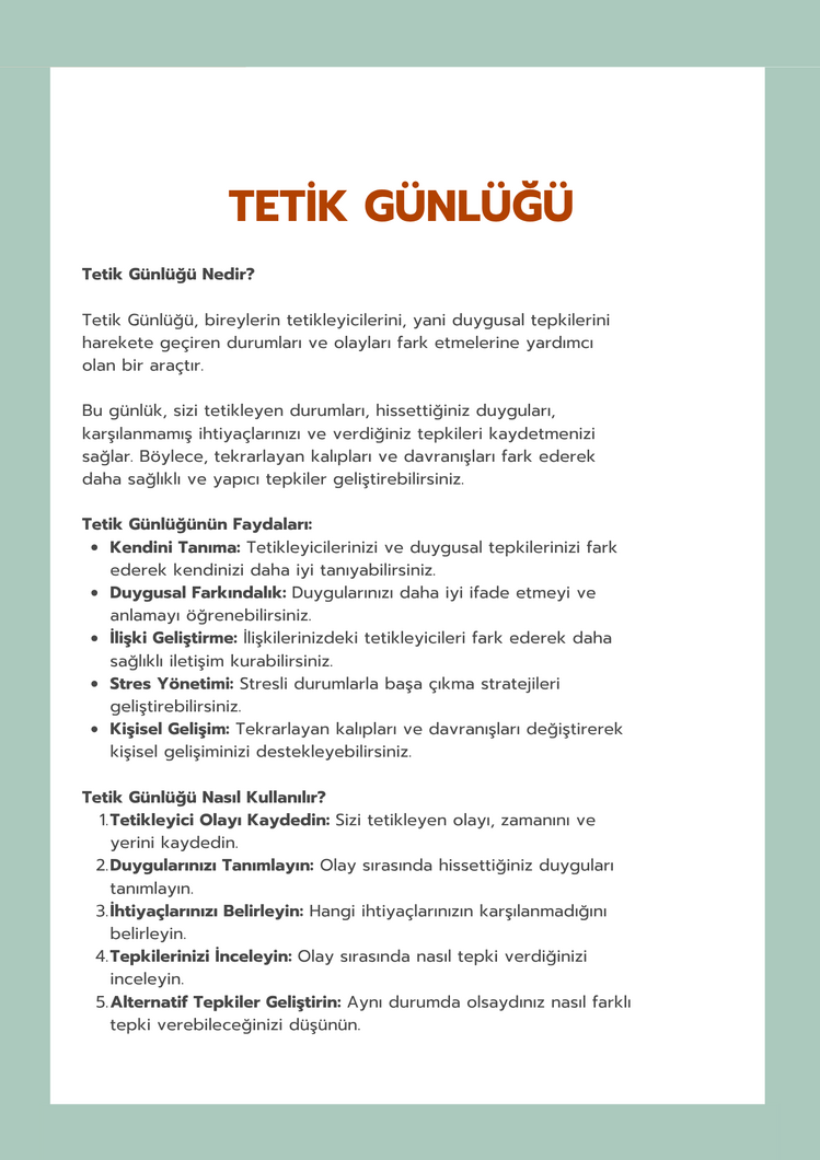 Tetik Günlüğü