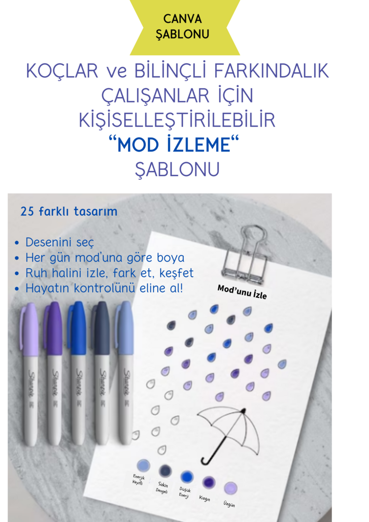 Mod'unu İzle: Profesyonel Koçluk Araçları