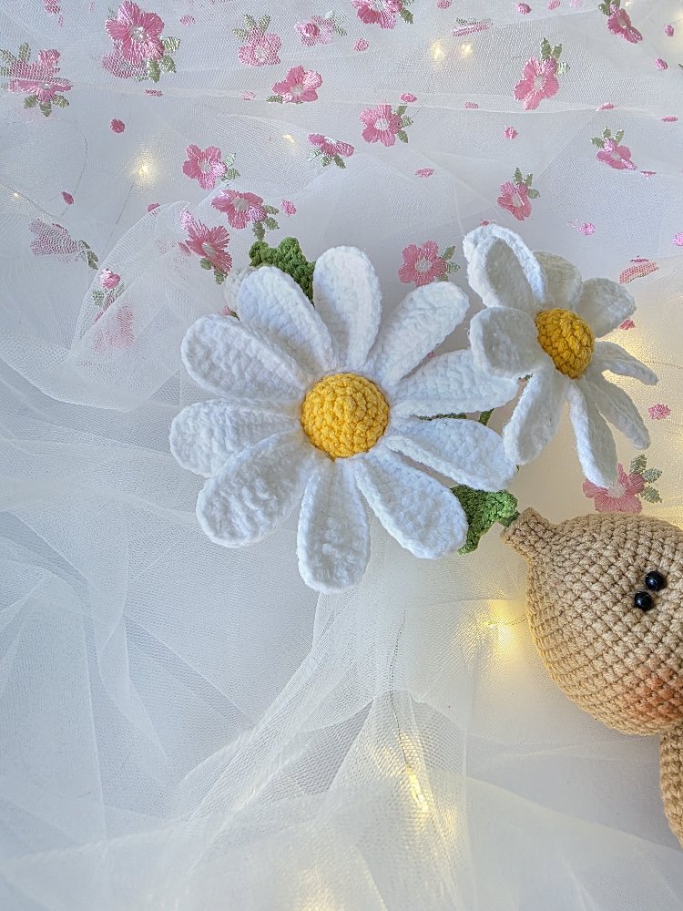 DAISY
