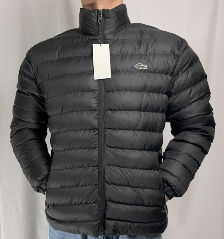 LACOSTE DİK YAKA MONT