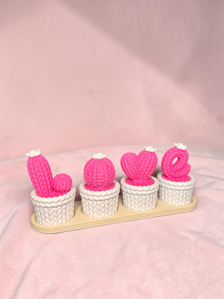 Love kaktüs dekor ( pembe ve beyaz)
