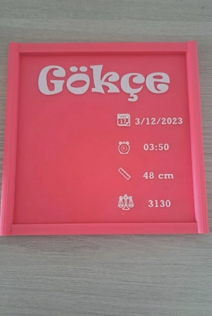 Yeni doğan bebek panosu