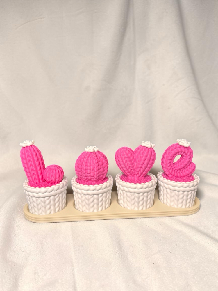 Love kaktüs dekor ( pembe ve beyaz)
