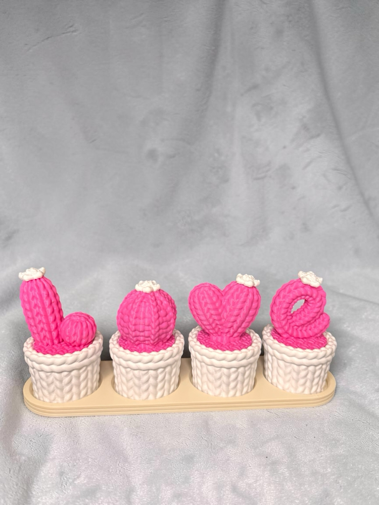 Love kaktüs dekor ( pembe ve beyaz)
