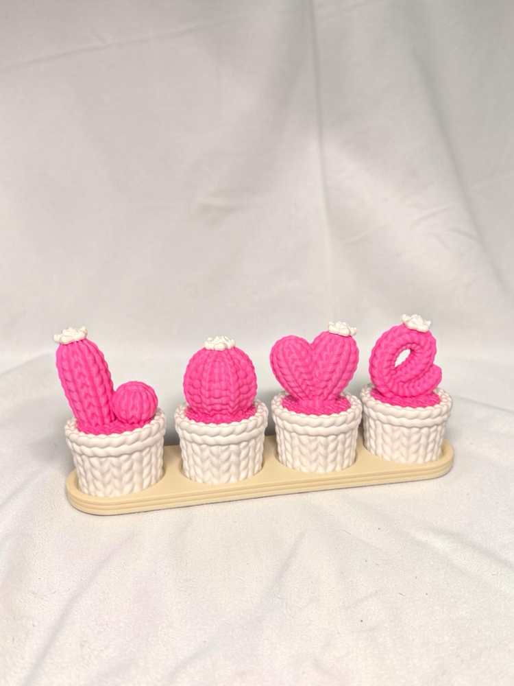 Love kaktüs dekor ( pembe ve beyaz)