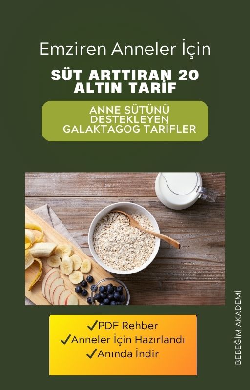 Anne Sütünü Artıran 20 Tarif E-Kitabı