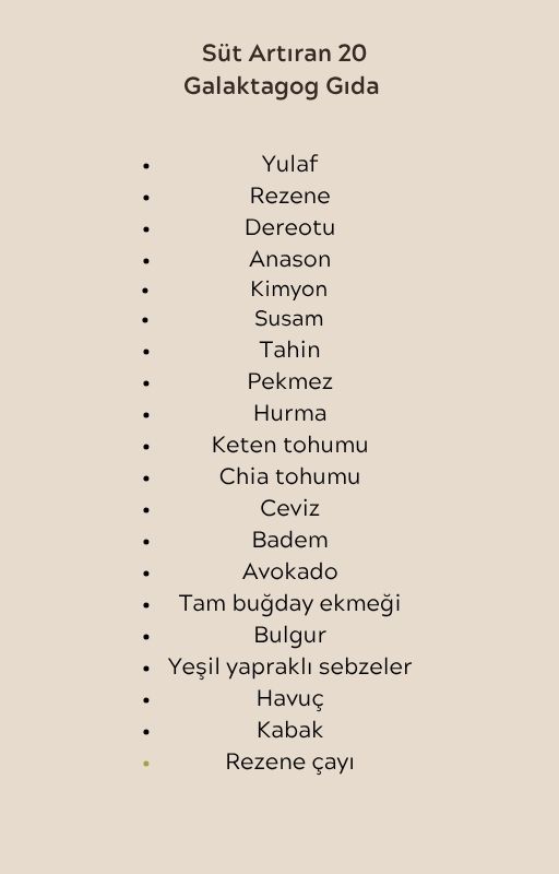 Anne Sütünü Artıran 20 Tarif E-Kitabı