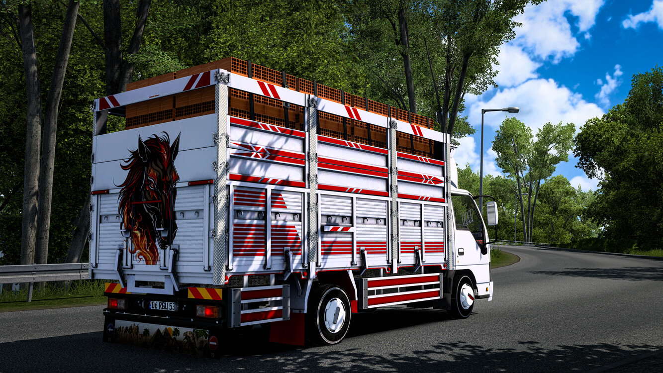 ISUZU NPR MEGA MOD