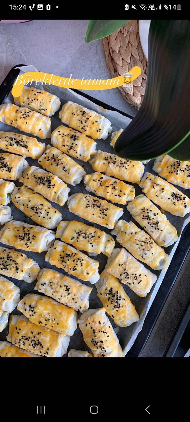 börek cesitleri 