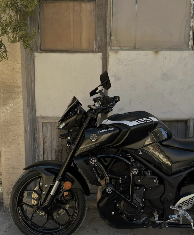 YAMAHA MT 25 6 lı koruma demiri (siyah)