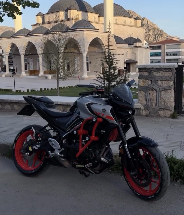 YAMAHA MT 25 6 LI KORUMA DEMİRİ (turuncu)