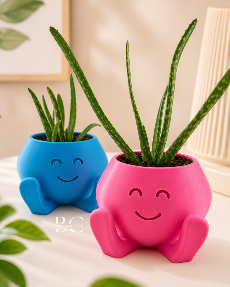 "Smile Buddy" Saksı - Sukulent&Kaktüs Saksısı