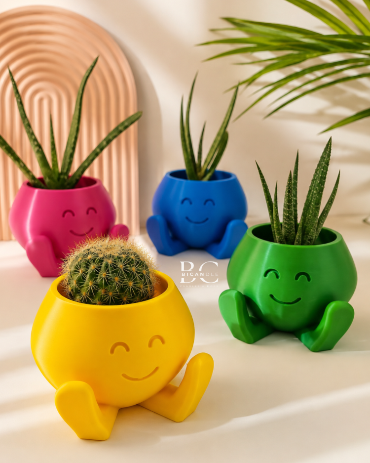 "Smile Buddy" Saksı - Sukulent&Kaktüs Saksısı