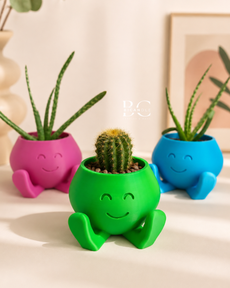 "Smile Buddy" Saksı - Sukulent&Kaktüs Saksısı