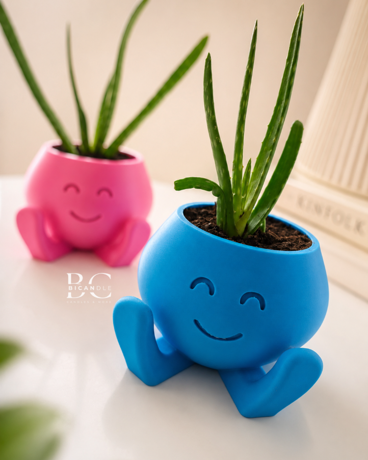 "Smile Buddy" Saksı - Sukulent&Kaktüs Saksısı