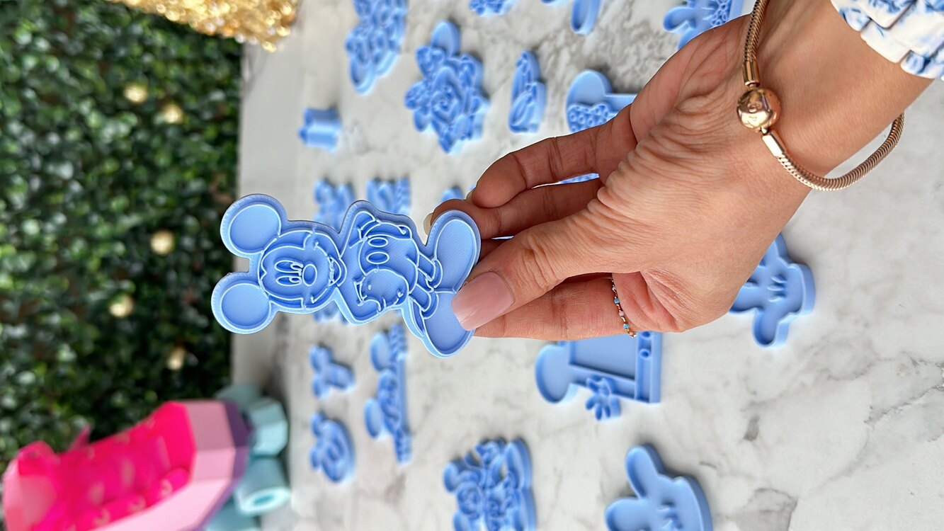 Disney Series - Mickey House