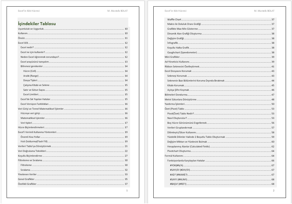 Excel'in Kök Hücresi (e-kitap)