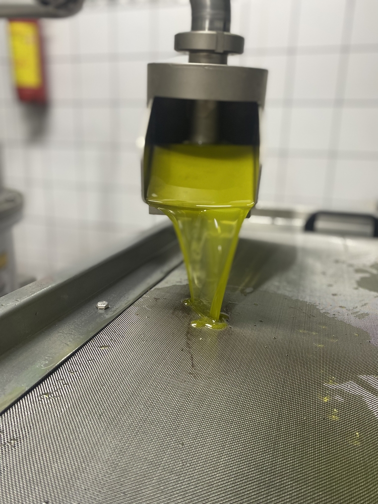 Yağpınarı Naturel Sızma Zeytinyağı 5 lt