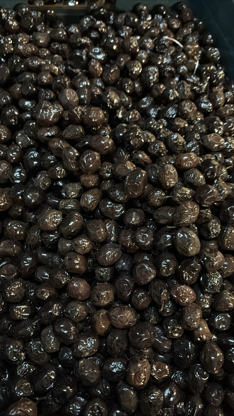 Taş Baskı Yağlı Sele Gemlik Zeytin M Boy 320-350 tane 10 kg