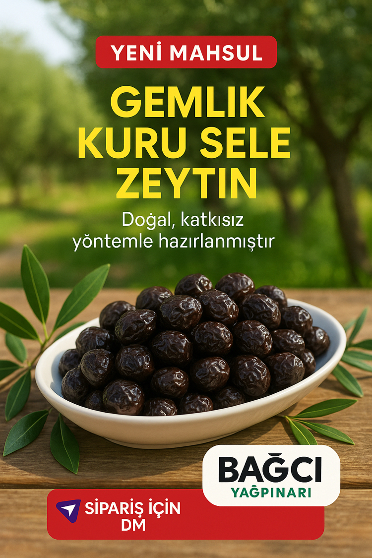 GEMLİK KURU SELE ZEYTİN İRİ BOY 10 KG