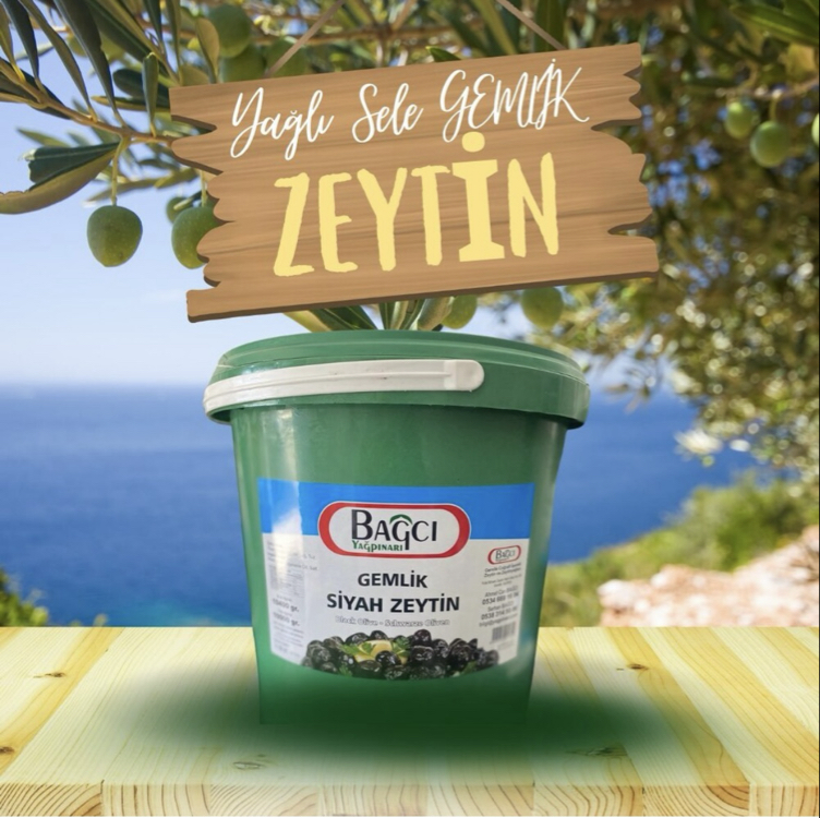 Taş Baskı Yağlı Sele Gemlik Zeytin M Boy 320-350 tane 10 kg