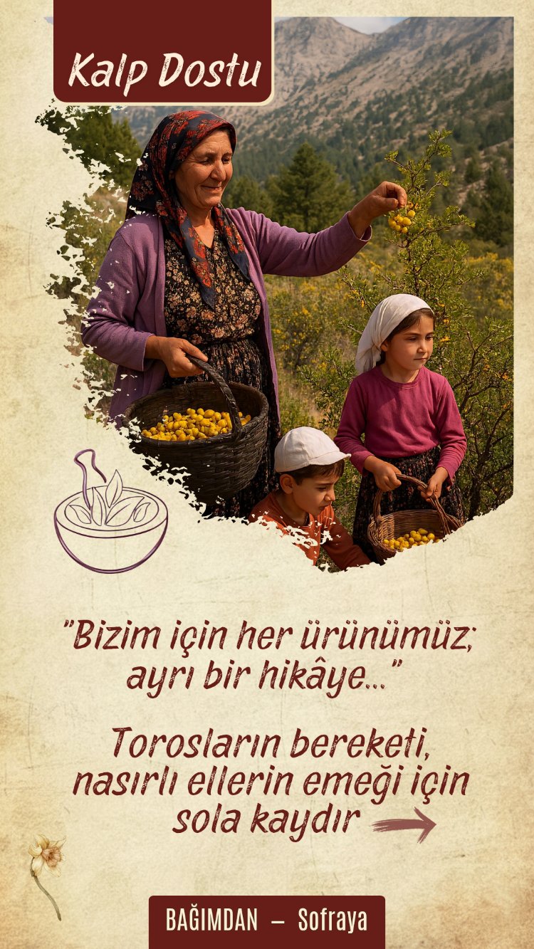 Yabani Alıç Sirkesi (Kalp) Pet 1lt