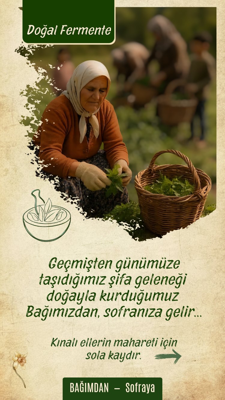 Isırgan Sirkesi (Arınma) Pet 1lt