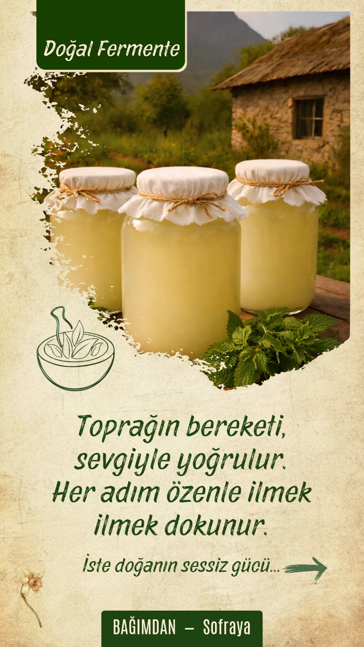Isırgan Sirkesi (Arınma) Pet 1lt