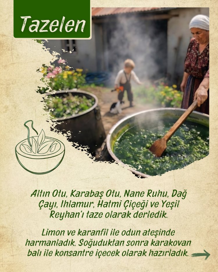 Ballı Klorofil (Nefes Al) 800 gr
