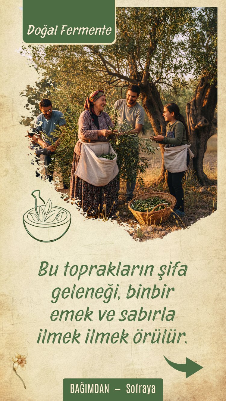Zeytin Yaprağı Sirkesi (Şifre) Pet 1lt