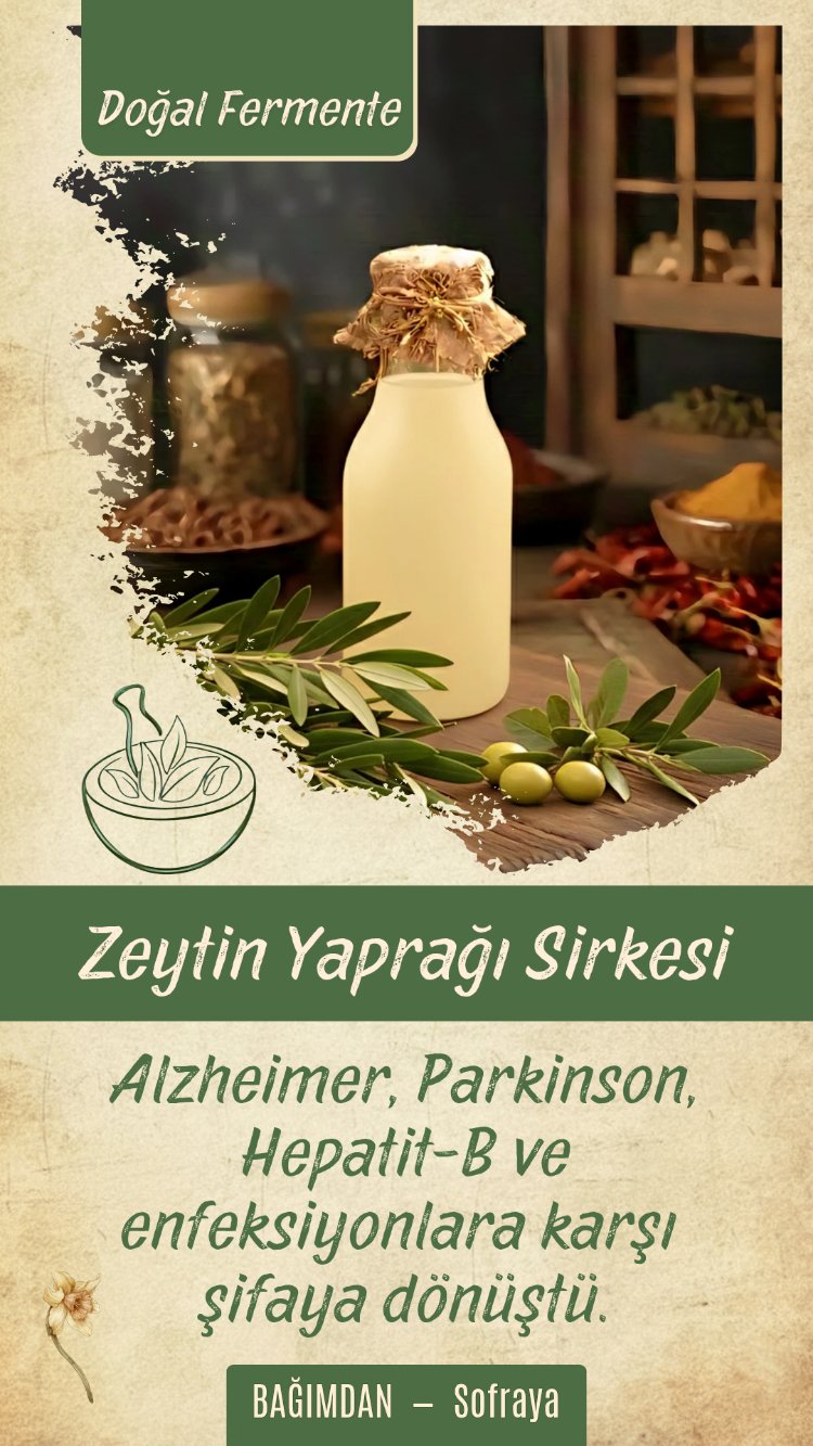 Zeytin Yaprağı Sirkesi (Şifre) Pet 1lt