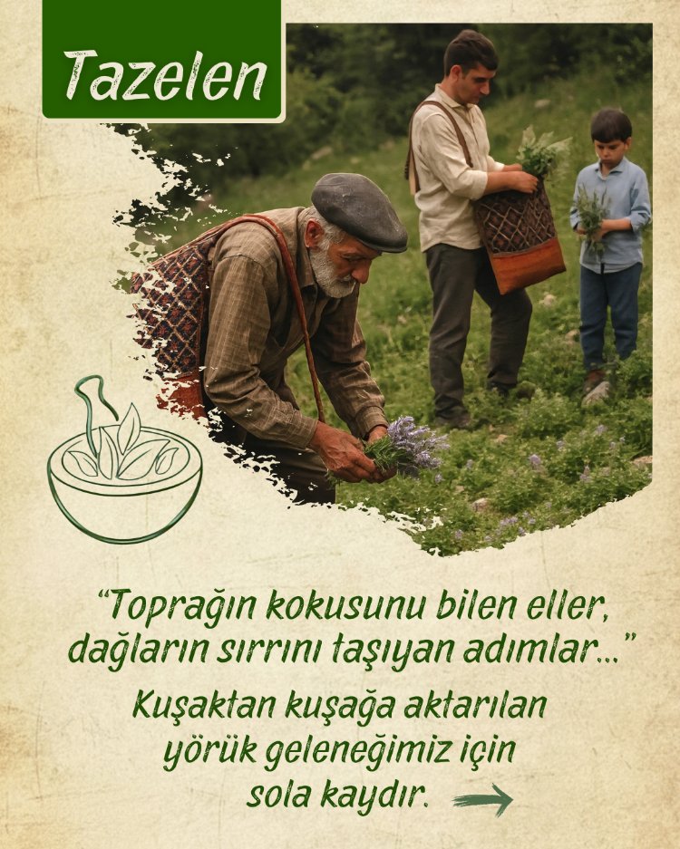 Ballı Klorofil (Nefes Al) 800 gr