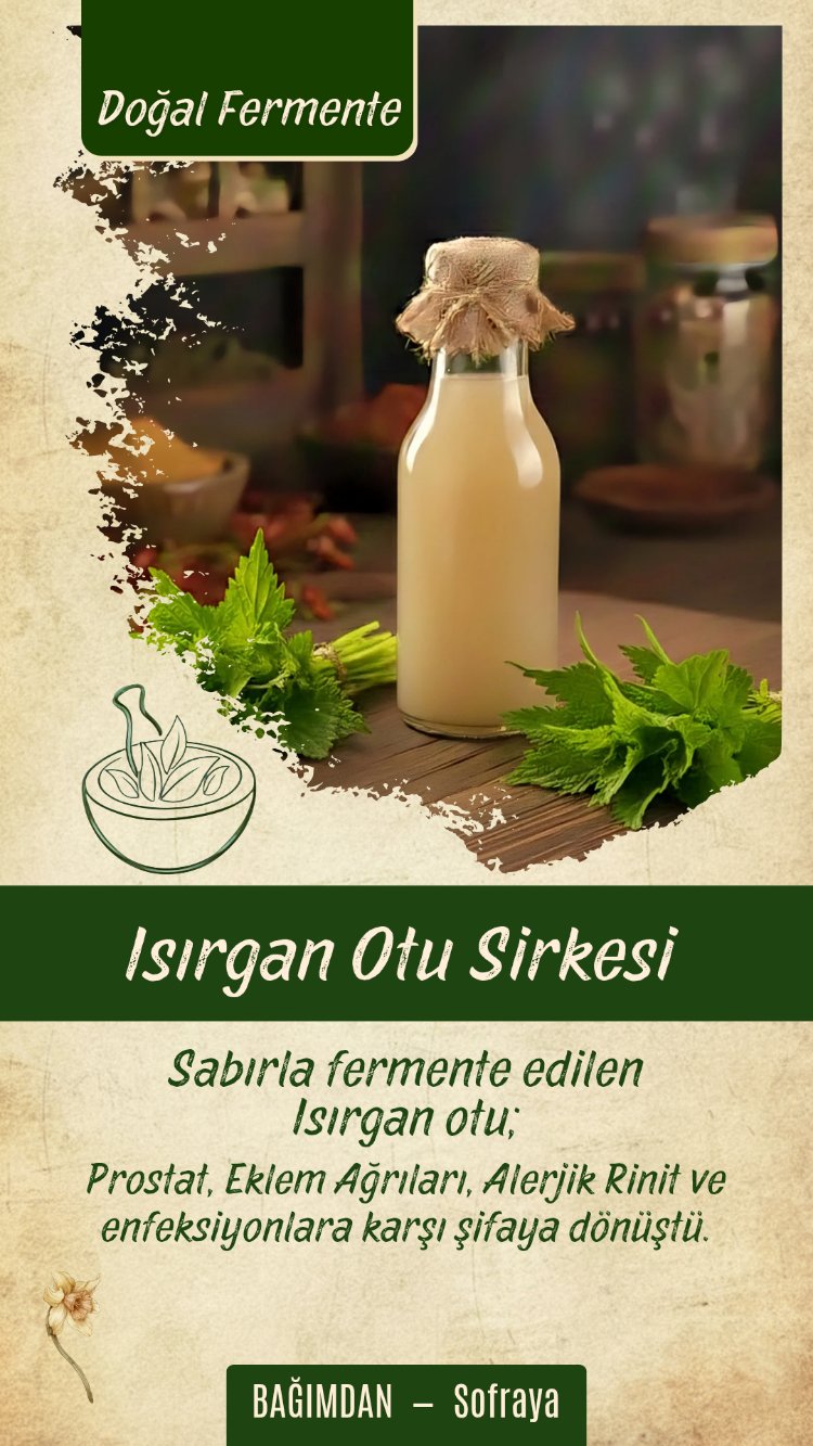 Isırgan Sirkesi (Arınma) Pet 1lt