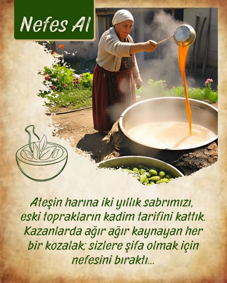 Ballı Atom Kozalak Macunu (Nefes Al) 900gr