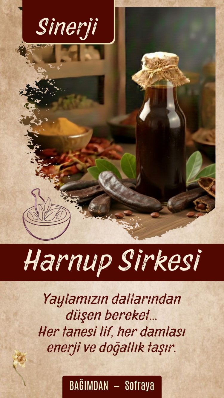 Harnup Sirkesi (Sinerji ⚡️) Pet 1lt